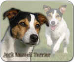 Mousepad Jack Russell Terrier